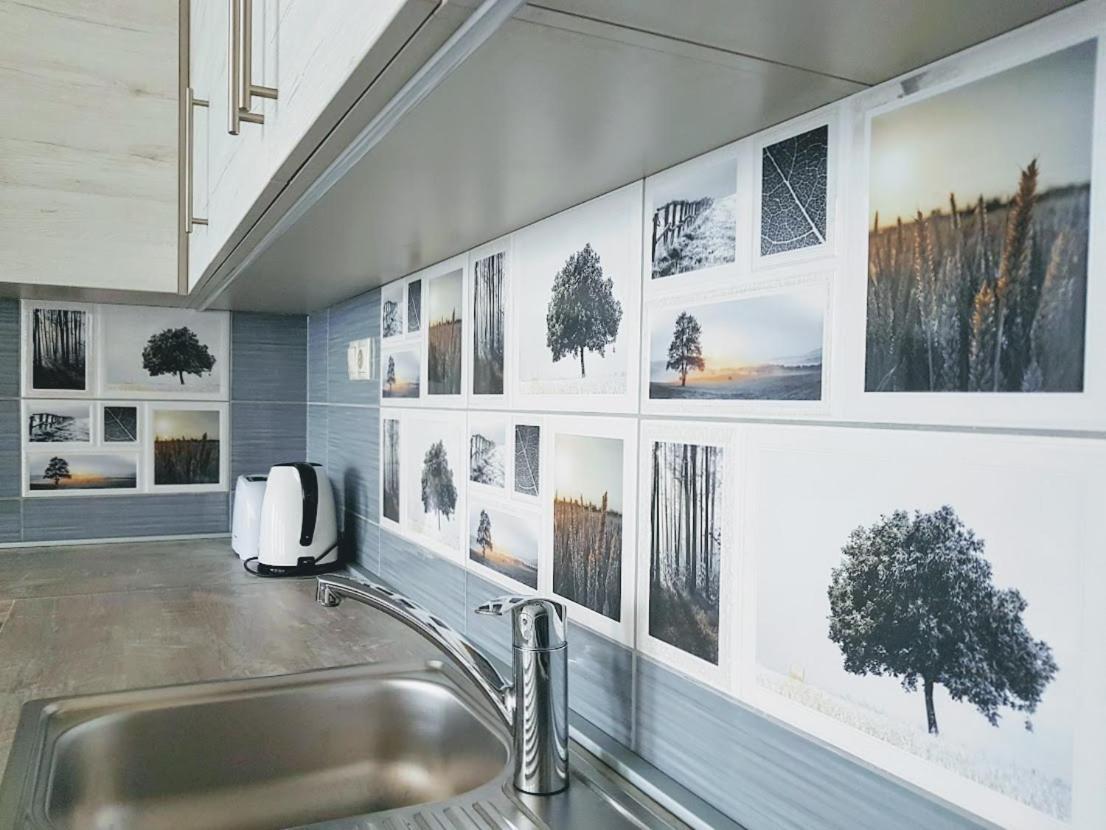 Silver Lodge Apartments エゲル エクステリア 写真